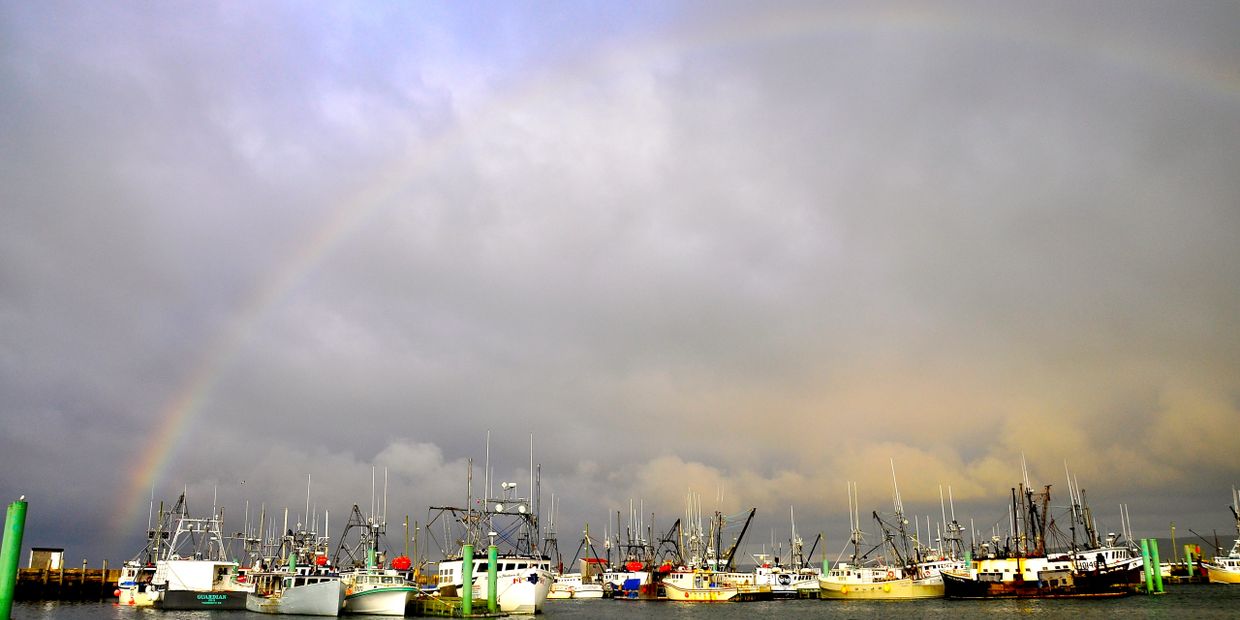 Commercial Fishing & Marine Insurance, Nova Scotia