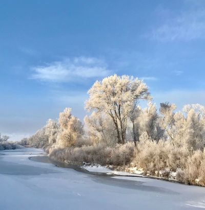 Non Profit Rio Grande Headwaters Restoration Project