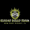 Elkins Bully Farm NPR