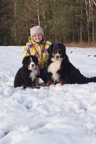 About us Emerald Liberty bmdpuppy.com
Emerald Liberty kennel bernese mountain dogs - the beginning