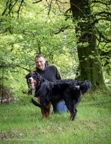 Graduates - Emerald Liberty bmdpuppy.com
Emerald Liberty kennel bernese mountain dogs - Liter C