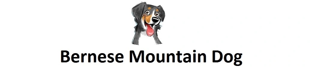 Bernese Mountain Dog - Berenese Mountain Dogs, Petfinder, Dog Breeds