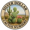 Silver dollar cactus nursery