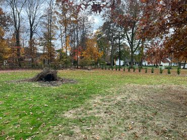 A backyard with green and patchy grass surrounded by autumn trees and a white house.