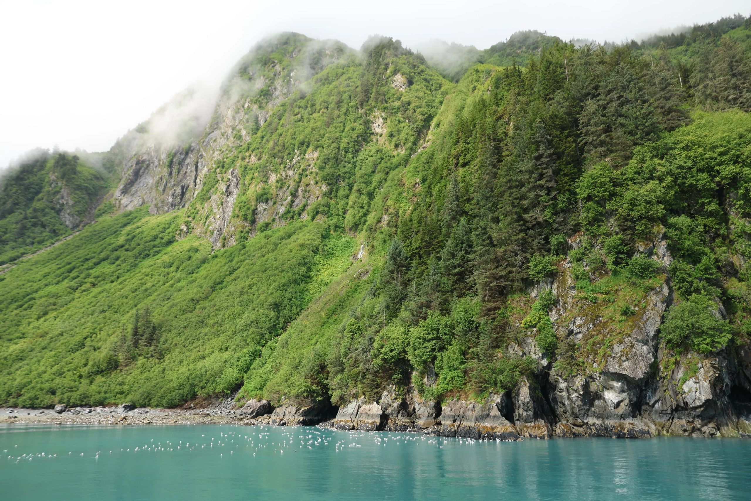 Camp Alaska