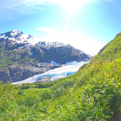 Sunlit mountain with a glacier and lush green vegetation in the foreground.