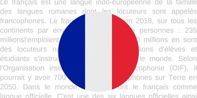 Fransızca tercüme, fransa, yeminli tercüme, çeviri