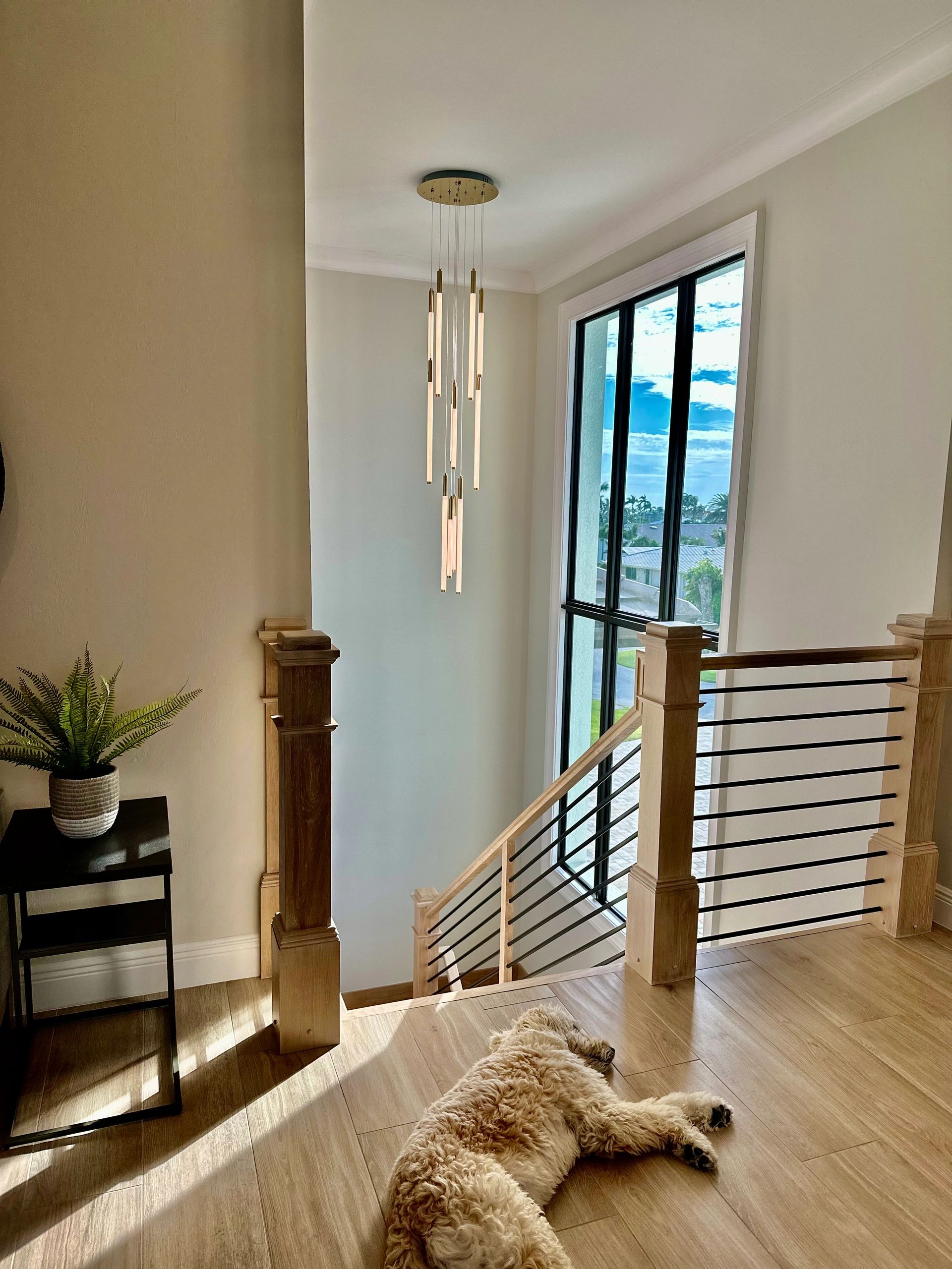 Living Designs by Duncan