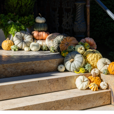 pumpkin porch design