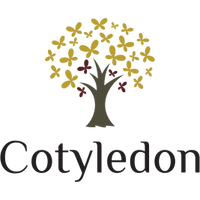 Cotyledon Therapy