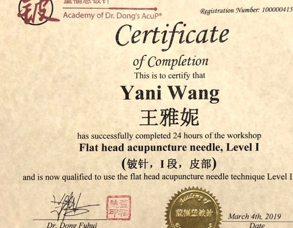 Certificate of completion for acupuncture workshop by Yani Wang.