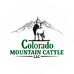 Colorado Mountain Cattle