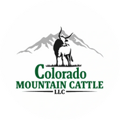 Colorado Mountain Cattle