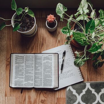 An open book and notebook surrounded by three potted plants on a wooden floor.