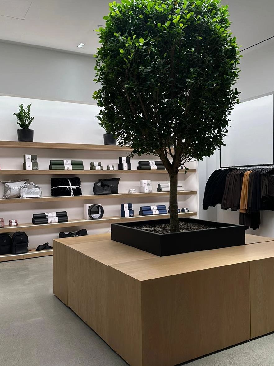 Commercial Cleaning. Office Cleaning. Store Cleaning. Cleaning services.