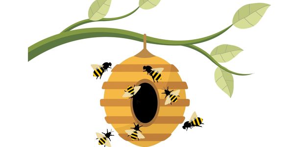 Bee Hive Icon