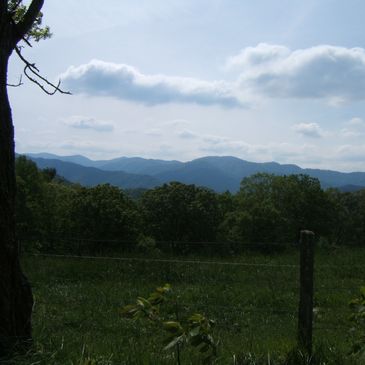 mountain view landscape