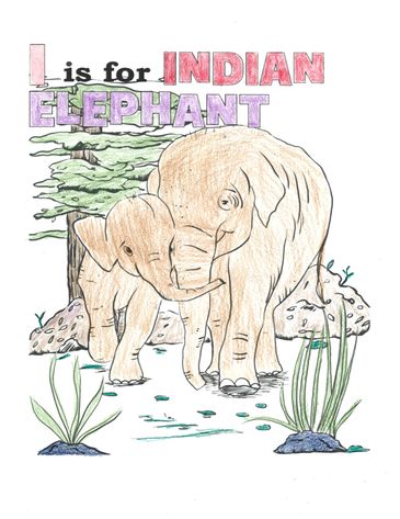 Illustration of Indian elephants with educational text.