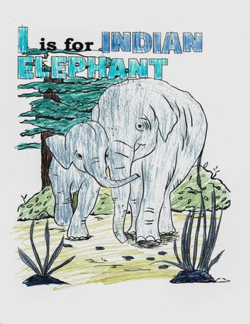 Illustration of Indian elephants in a forest with text.
