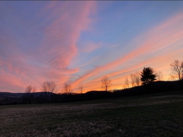 Gods creation!