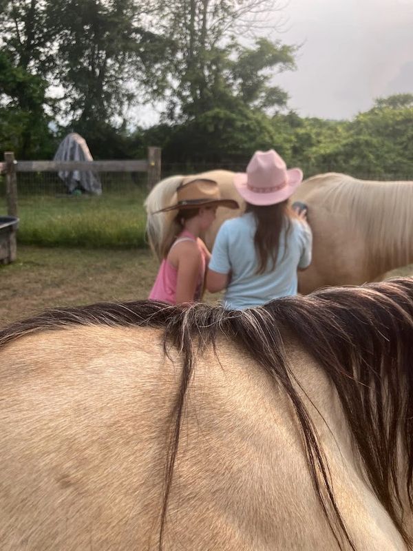 spending time with horses