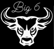 Big 6 Protective Services