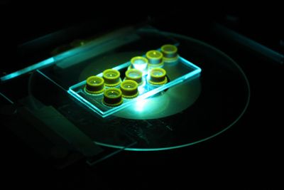 Picture of a microfluidic chip