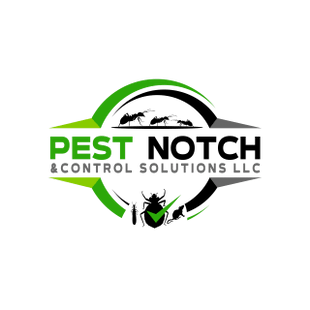
Fast and Effective rodent control services