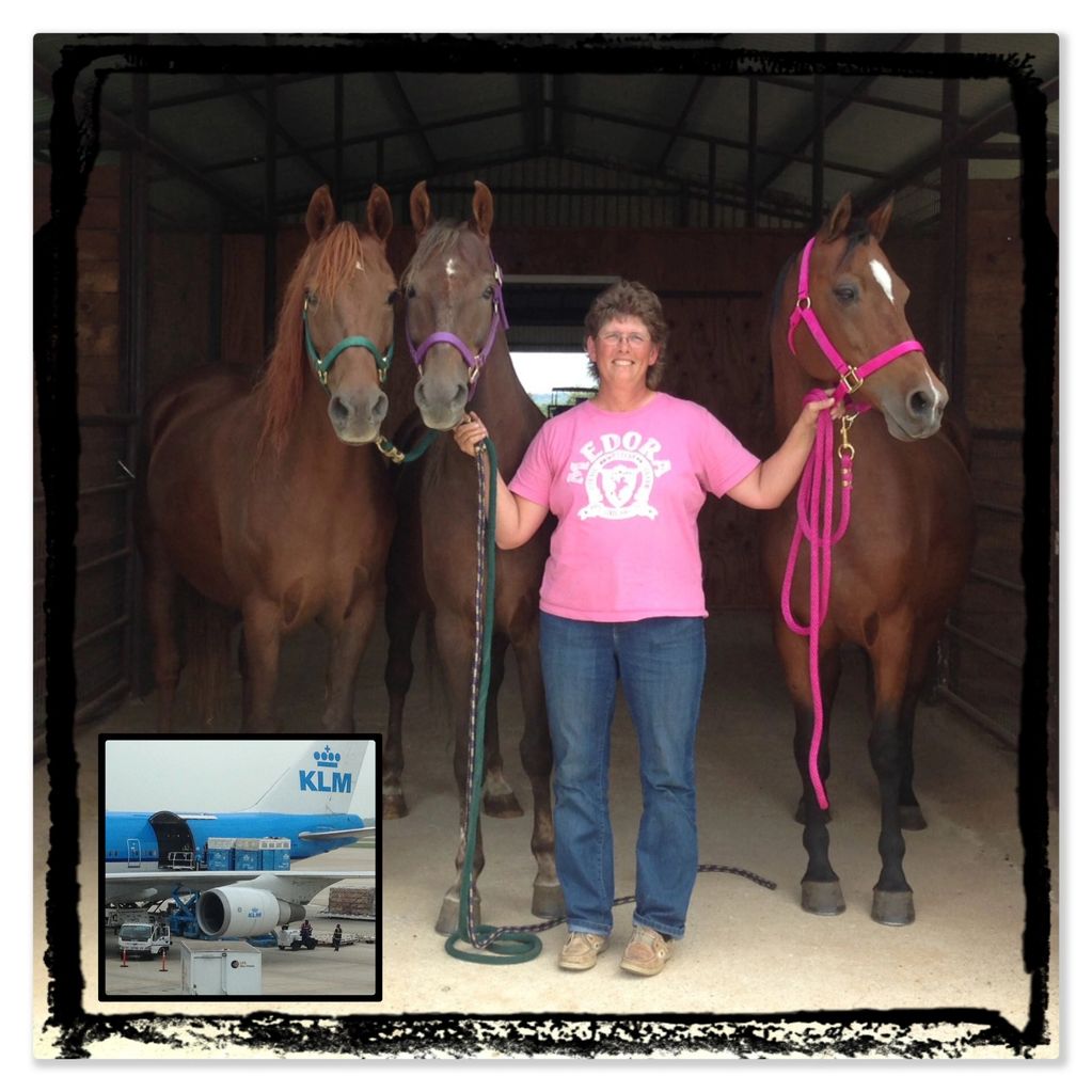 For Sale Prairie Hill