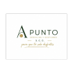 Servicios y Gestiones A Punto