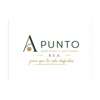 Servicios y Gestiones A Punto