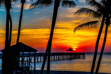 Paradise in Deerfield Beach