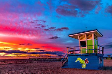 Pompano Love