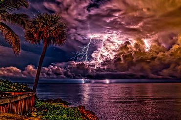 Tropical Disturbance