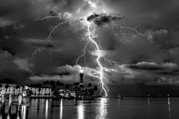 Speechless BNW