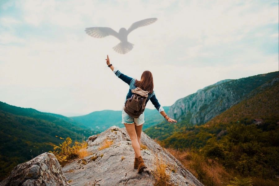 Wellness, Mental Health Devine Guidance, LLC , Pennsylvania