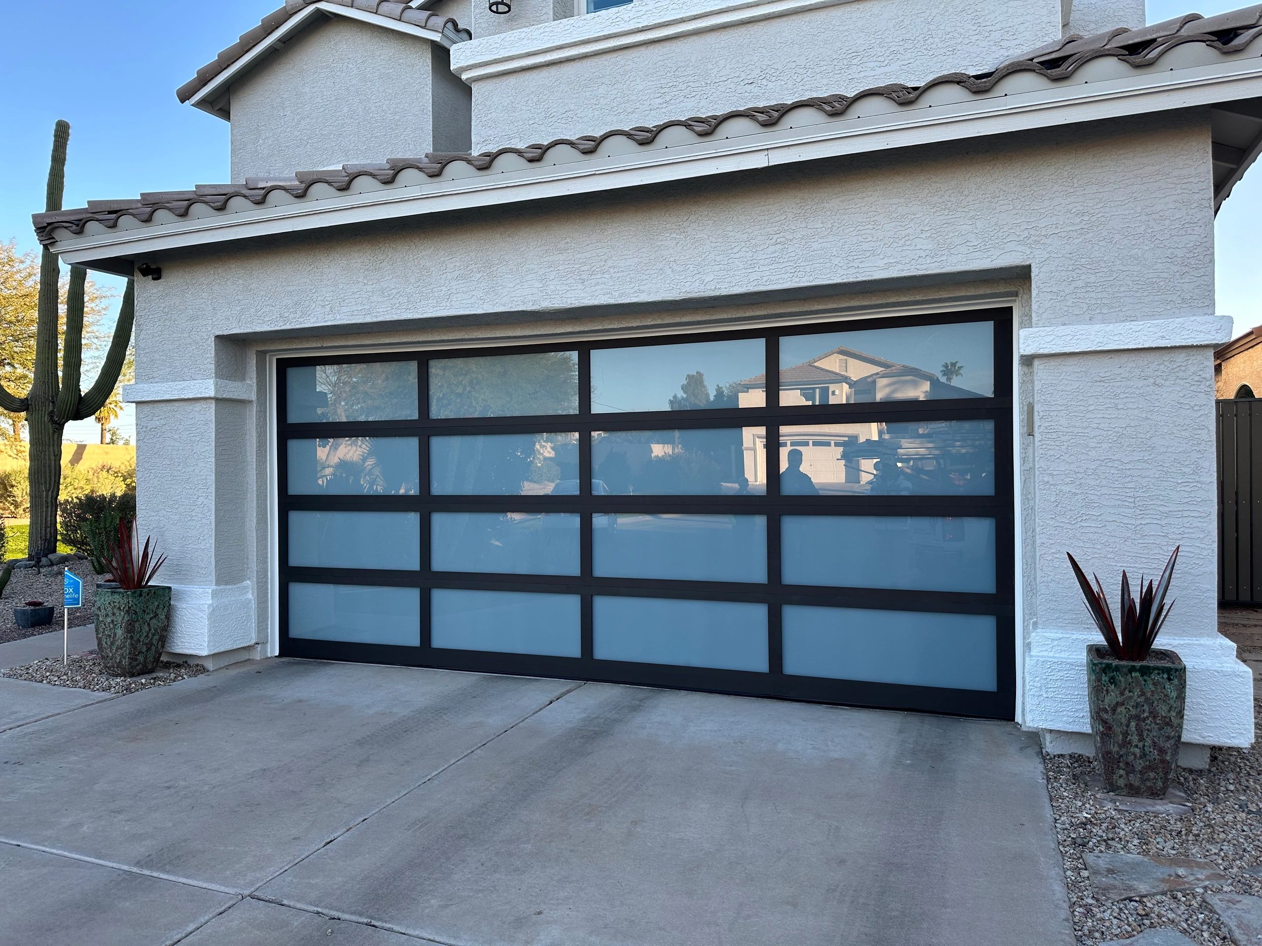 Blue Cactus Garage Door