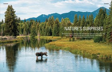 Tamron Americas magazine article