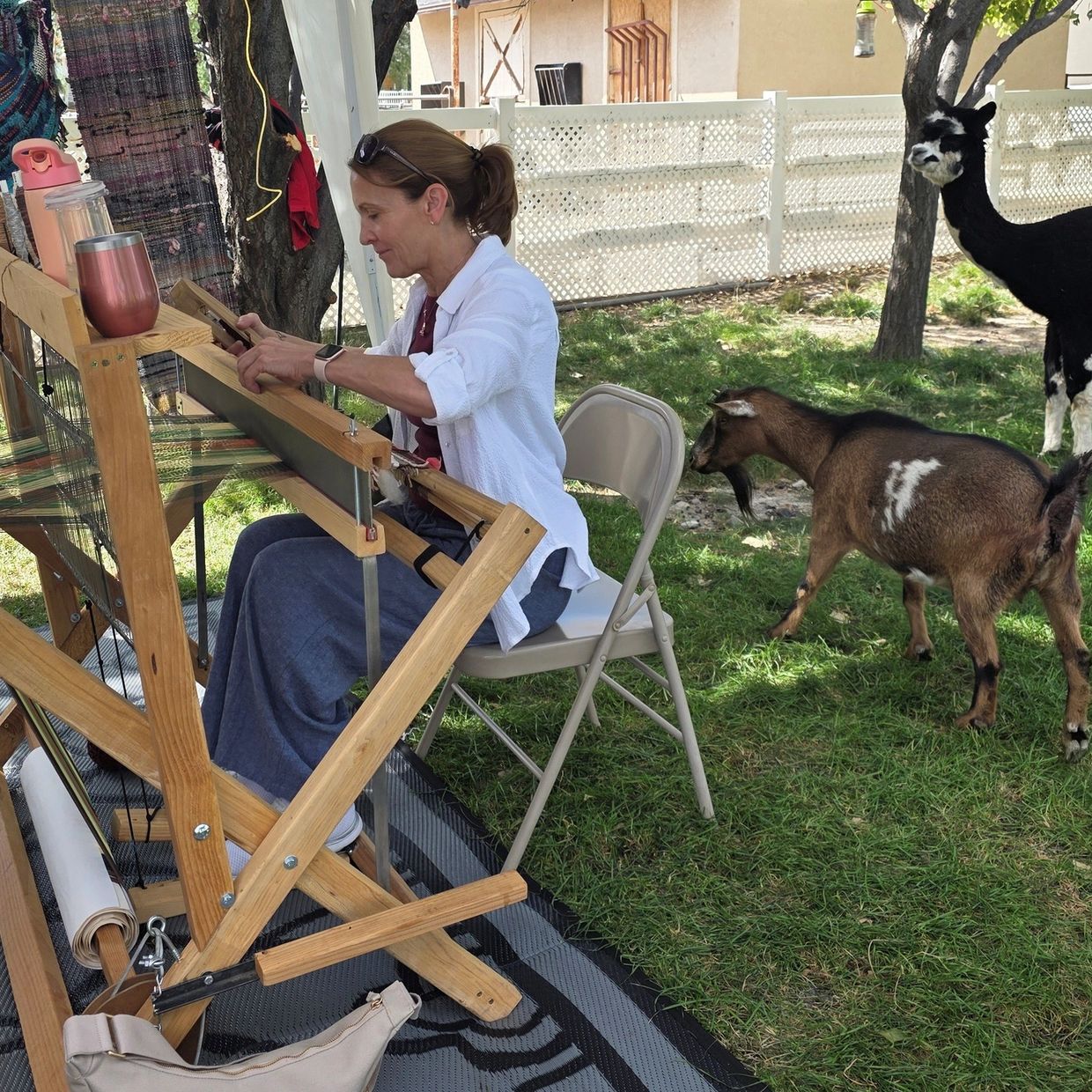A woman weaving on a loom outdoors with a goat and an alpaca nearby.