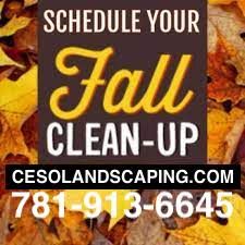 Ceso Landscaping