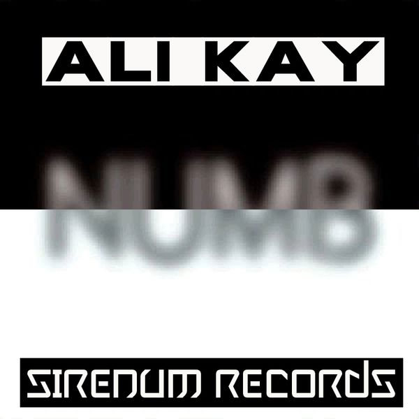 SIR041/ Ali Kay/ NUmb