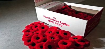 Red poppy pins for remembrance beside a Royal Canadian Legion box.