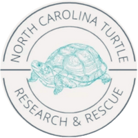 NC Turtle Foundation