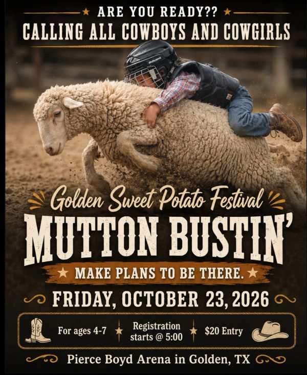 Young child riding a sheep at Mutton Bustin' event.