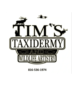 Tim's Taxidermy and Wildlife Artistry