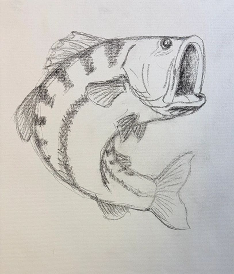 Pencil sketch of a fish with an open mouth.