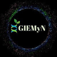 www.GIEMyN.com