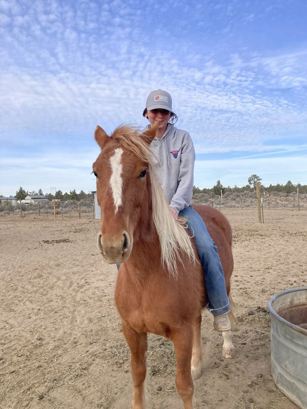 Person in casual wear riding a brown horse in an open sandy area.