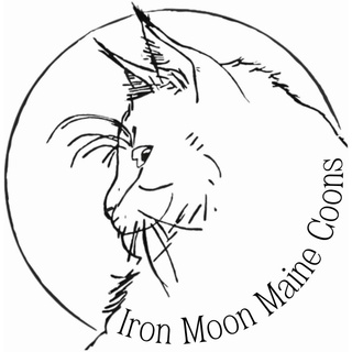 Iron Moon Maine Coons