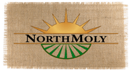 NorthMoly